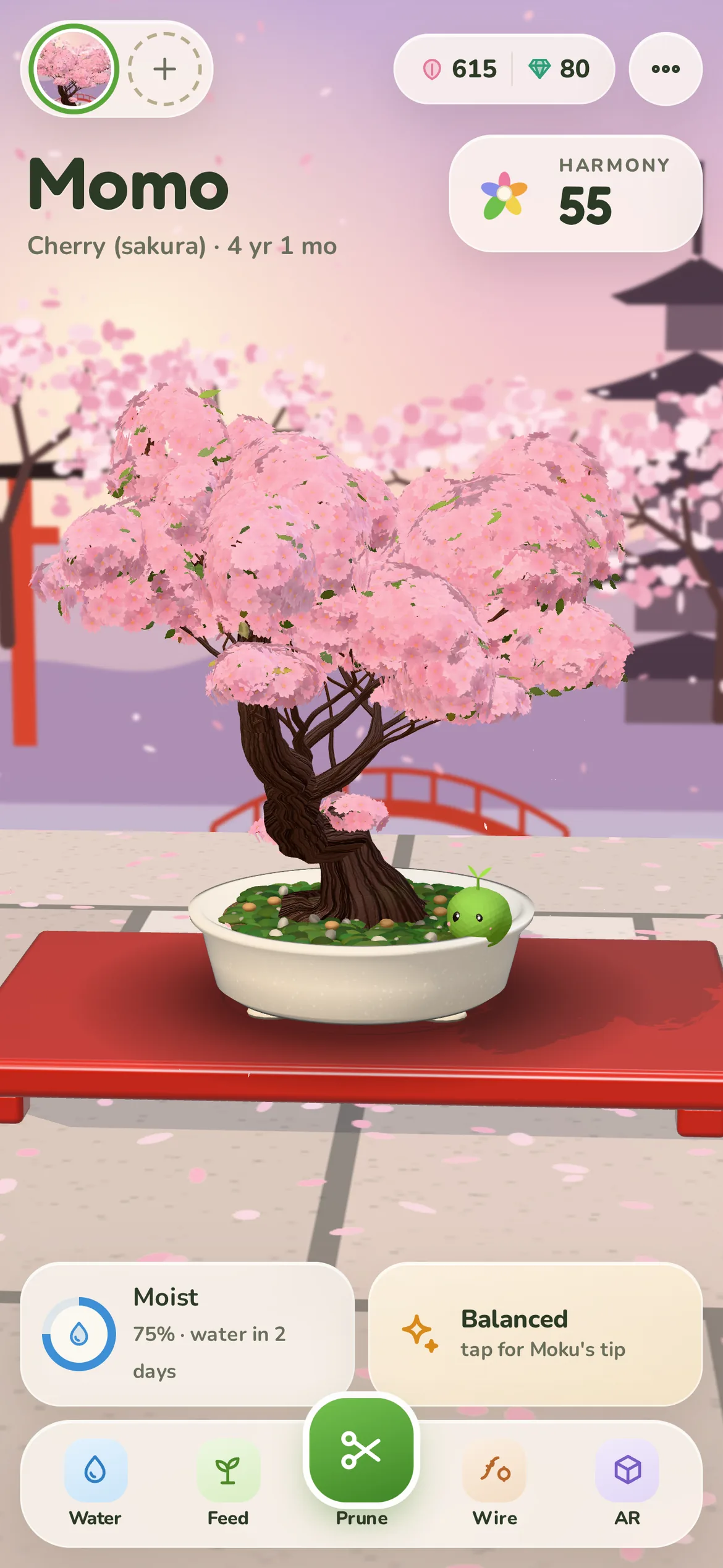 A flowering cherry in full spring bloom in the Sakura temple room, petals drifting down.